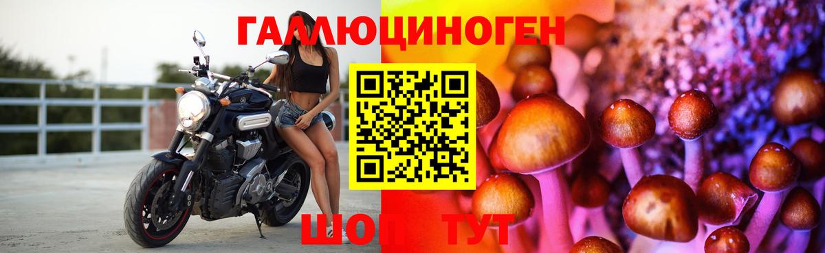 Галлюциногенные грибы Psilocybe Воркута